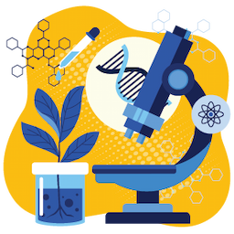 Program Image