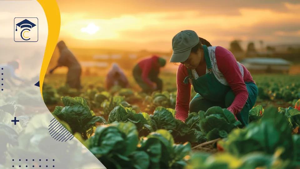 Online MBA Agribusiness Shoolini University