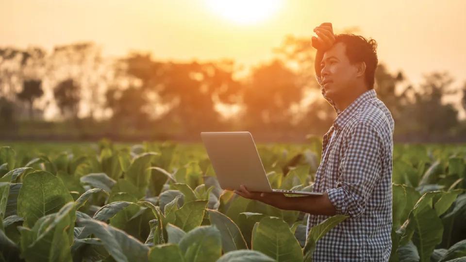 Shoolini University Online MBA in Agribusiness focusing on agribusiness skills, industry exposure and growth outcomes