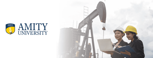 Amity Online MBA in Petroleum & Natural Gas Management Image