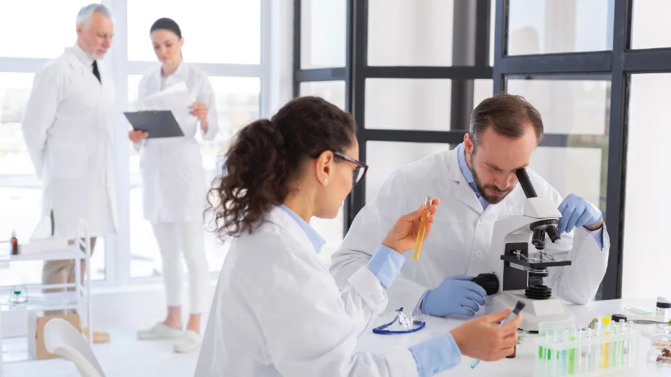 Shoolini’s Online MBA in Pharma and Healthcare Management showcasing pharmaceutical and health management concept