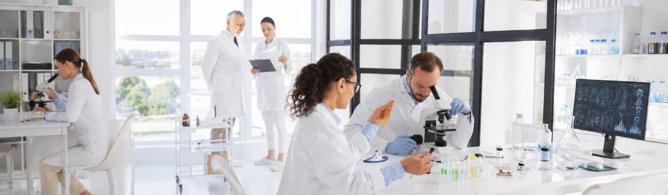 Pharma and Healthcare