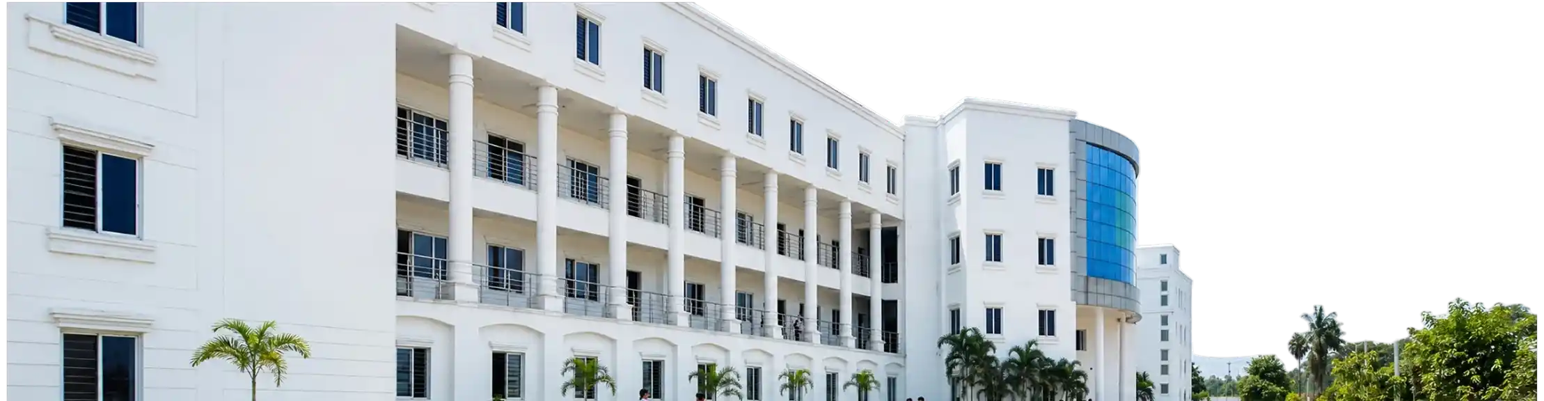 AMET University Online BBA in Marketing degree program