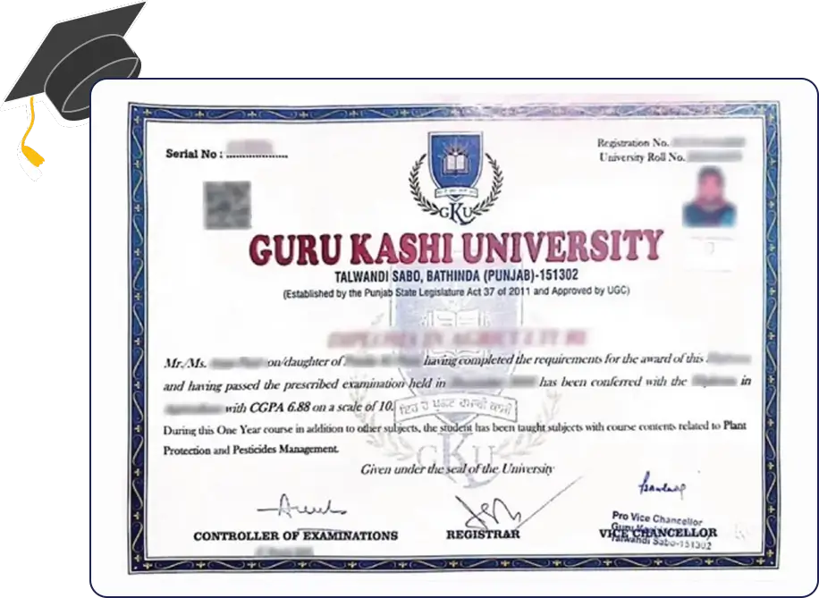 Official certificate for Guru Kashi University Online Diploma in Computer Application with clean formal layout