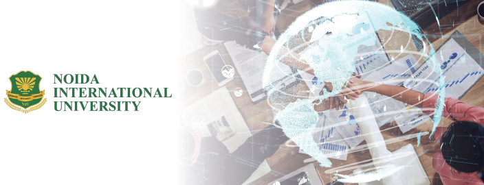 Noida International Online MA-IR (Master of Arts in International Relations) Image