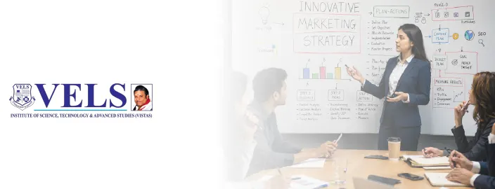 VISTAS Online MBA in Marketing Management