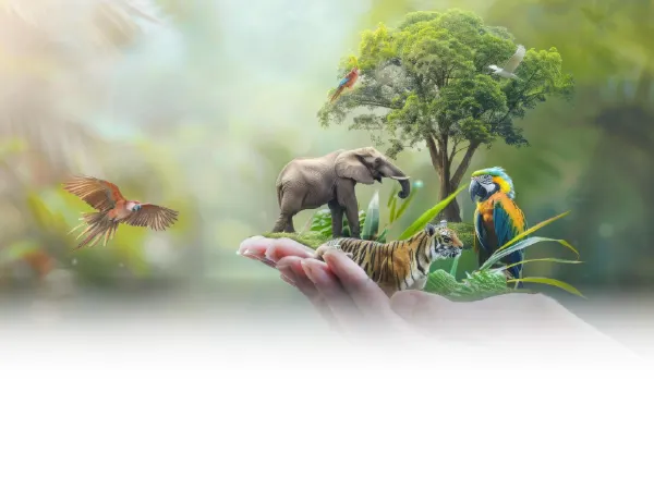 Online BSc in Zoology course cover showcasing zoology and life sciences program